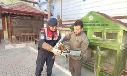 Karaman'da yaralı bulunan kızıl şahin koruma altına alındı