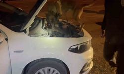 Kastamonu’da uyuşturucu operasyonu: 5 tutuklama