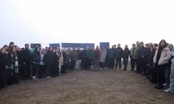 KBÜ'lü öğrenciler 500 çam fıstığı fidanını toprakla buluşturdu