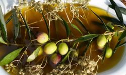 Kekik ve zeytinyağı, doğanın iki şifa kaynağı taşbaskıda bir araya geldi