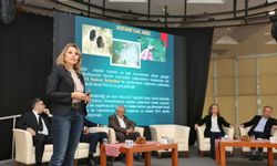 Kestane Büyükşehir’le filizleniyor