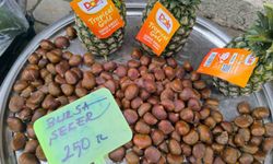 Kestane fiyatıyla yüzleri güldürdü