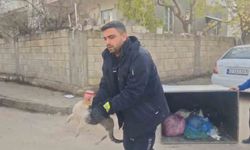 Konserve kutusuna sıkışan kedi kurtarıldı