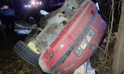 Kontrolden çıkan otomobil kayısı bahçesine uçtu: 1 yaralı