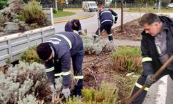 Körfez'de yeşil alanlar çiçeklerle süsleniyor