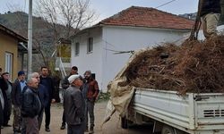 Köşk'te köklü kestane fidanları üreticilere dağıtıldı
