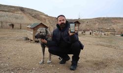 Kurtlar yerleşim yerlerine dadandı, uzmanı çare olarak Kangalları gösterdi