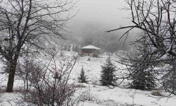 Manisa'nın yüksek kesimlerinde kartpostallık kar manzaraları