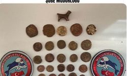 Mardin'de tarihi eser operasyonu: 45 sikke ve hayvan figürlü heykel ele geçirildi