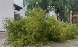 Marmaris’te sağanak etkili oldu