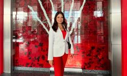 Meclis üyesini sıkıştırıp, aracı yumrukladı: O anlar kameraya yansıdı