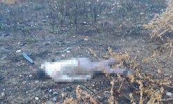 Mersin’de kaza yapan araç otoyolda, sürücüsü 30 metrelik köprünün altında ölü bulundu