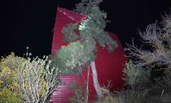 Mersin'de şiddetli rüzgar çatıyı uçurdu, asırlık meşeyi devirdi