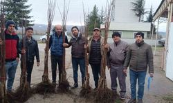 'Meyveciliği Geliştirme' projesi Pazaryeri'nde hayata geçti