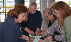 MSKÜ’de ‘DENGE Belgeseli ile Sürdürülebilir Yaşam Günü’