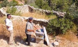 Muğla'da kovan barınakları tekrar ayağa kaldırılıyor