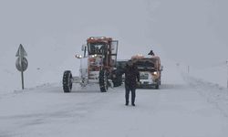 Muş-Kulp karayolu tır ve çekici trafiğine kapatıldı
