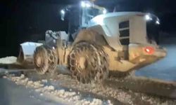 Muş'ta kar yağışı 250 köy yolunu ulaşıma kapattı