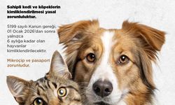 Niğde Belediyesi'nden kedi ve köpek sahiplerine uyarı: Son başvuru 31 Aralık 2025