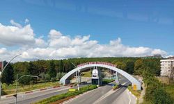 OMÜ, GreenMetric’te 57 basamak yükseldi