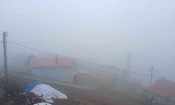 Posof’ta yoğun sis etkiliyor oluyor