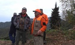 Rize’de ayı için sürek avı başlatıldı