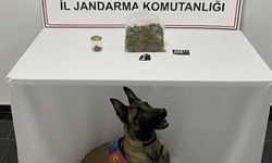 Şanlıurfa'da uyuşturucu operasyonu: 1 gözaltı