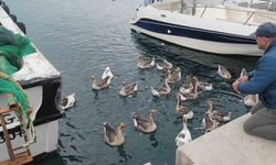 Şarköy’ün maskotu ’Vakvaklar’