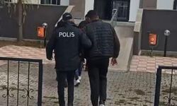 Sivas’ta çaldıkları Kangal köpekleriyle Kayseri’de yakalandılar