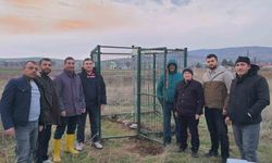 Sivas'ta süneler yapay zeka ile takip edilecek