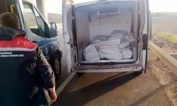 Tekirdağ’da 400 kilo menşei belirsiz kokoreç imha edildi