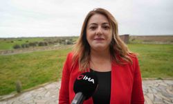 Türkiye'de manda popülasyonu tehdit altında