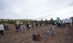 TUSAŞ şehitleri anısına binlerce fidan toprakla buluştu