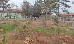Umraniye köylüleri 300 adet fidanı okul ve camii bahçesine diktiler