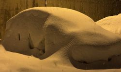 Yüksekova'da kar kalınlığı 40 santimetreyi geçti: Araçlar ve tek katlı evler kara gömüldü