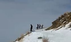 Zirveye şefkat tırmanışı: Yüksekova'da dağ keçileri için metrelerce karı aştılar
