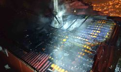 Zonguldak'ta alevler geceyi aydınlattı, itfaiye papağanı yangın ortasından kurtardı