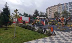 Afyonkarahisar'da beklenen kar yağışı başladı