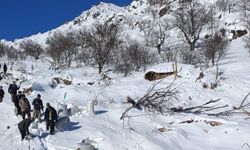 Ahırların üzerine çığ düştü, küçükbaş hayvanlar telef oldu