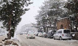 Ahlat'ta yoğun kar yağışı