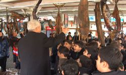 Ara tatile giren öğrencilerden, balık müzesi ziyareti