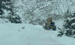 Artvin'de 6 ilçede 43 köy yolunda kar nedeniyle ulaşım sağlanamıyor