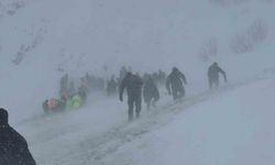 Artvin'de çığ bölgesinde arama çalışmalarına ara verildi