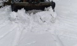 Artvin'de kar nedeniyle 18 köy yolunda ulaşım sağlanamıyor