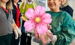 Aydın Şehir Hastanesi'nde ilk bebek dünyaya geldi