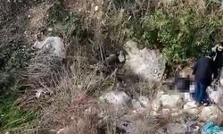 Balıkesir'den kayıp olarak aranan şahsın cesedi Mersin'de bulundu