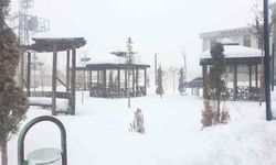 Başkale'de kar yağışı başladı