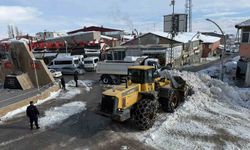 Başkale'de karla mücadele çalışması