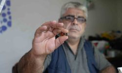 Bayburtlu kehribar ustası işlediği taşta milyonlarca yıllık böcek fosili buldu