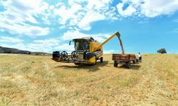Bayburt'ta üreticiye yüzde 40 devlet katkılı yem desteği verilecek